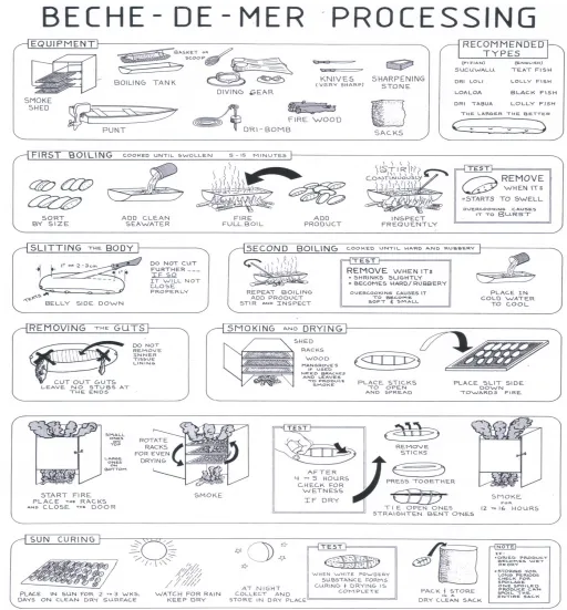 Fig. 1.1. Steps in bêche-de-mer processing; traditional technique. Source: Ministry of Fisheries, 