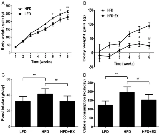 Figure 3. Effect of treadmill running on H2S concen-tration in rat skeletal muscles. Values are presented as the mean ± SD (n = 3); **P < 0.01 compared with the LFD group; ##P < 0.01 compared with the HFD group.