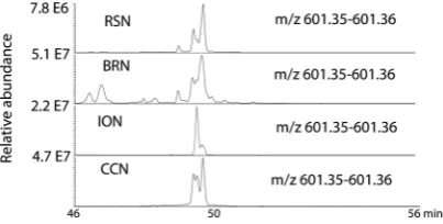 Figure 5. Extracted ion traces for denticulatain isomers in the high activity Nigerian propolis samples.
