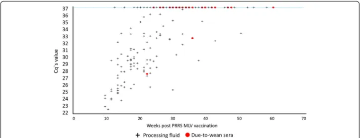 Fig. 2 PRRSv RT-qPCR Cq values from processing fluids samples, from 10 to 61 weeks post vaccination