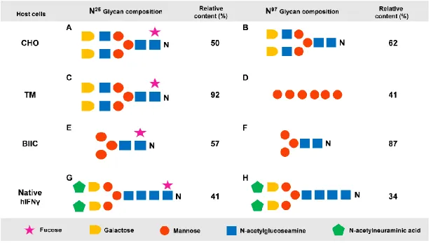 Figure 1.2 N-glycan structures associated with N25 and N97 glycosylation sites of recombinant hIFNγ expressed in different host systems (James et al, 1995; Sareneva et al, 1996)