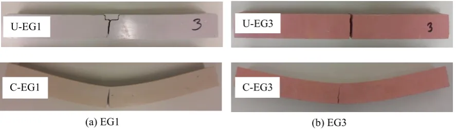 Figure 10. Typical failure pattern of flexural specimens. 