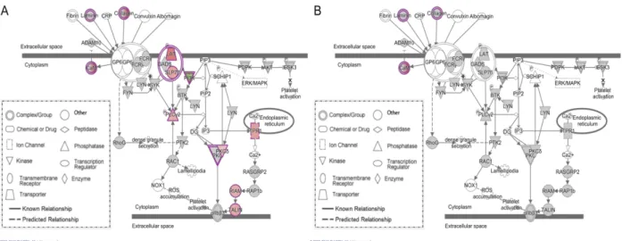 Figure 3.S4. Effect of PRRSV isolate on the pig tonsil RNA-seq transcriptome at 42 days post  infection