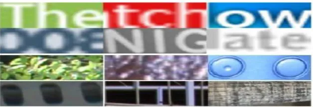 Fig. 6. Examples of training samples with width-to-height ratio 2:1. The first two rows are positive samples and the other two rows are negative samples