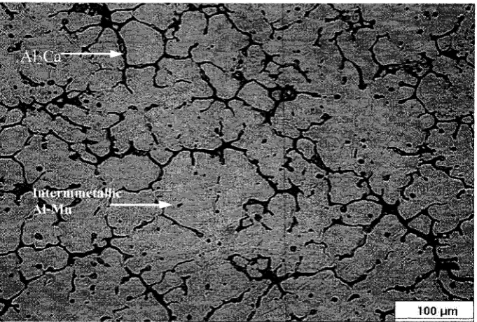 Figure 4.6: Optical micrograph showing microsturcture of alloy AMC501 squeeze cast 