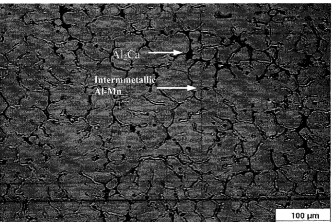 Figure 4.7: Optical micrograph showing microstructure of alloy AMC501 squeeze cast 