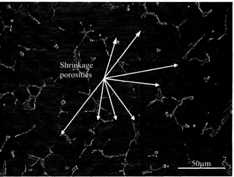 Figure 4.11: Shrinkage porosities in samples cast under 3MPa.