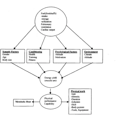 Fig 2.2 Determiners of individual physical work capacity (Kroemer et al (2001)