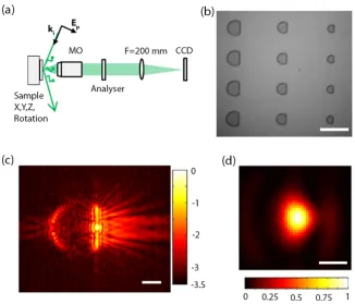 FIG.2. (a)light p-polarized at 532 nm. Scale bar:5ear scale. FWHM of spot size is420collection objective (NAExperimentalsetup:Linearly polarized light from a 532 nmDPSS laser is introduced at an angle of80� to normal