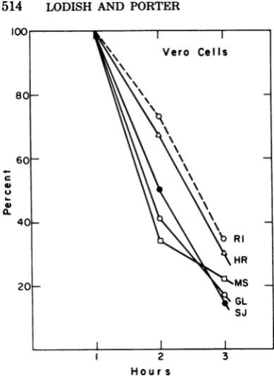 FIG. 9.orhthrough19,21,infected(4, (13-18), VSV-infected 10, Gel analysis ofproteins synthesized in L cells by different strains of VSV