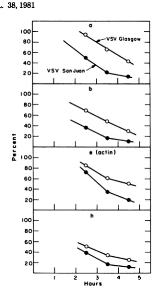 FIG. 4.todiogrammicrodensitometer.withrespondingb, c the Synthesis of BHK proteins after infection VSV Glasgow or VSV San Juan
