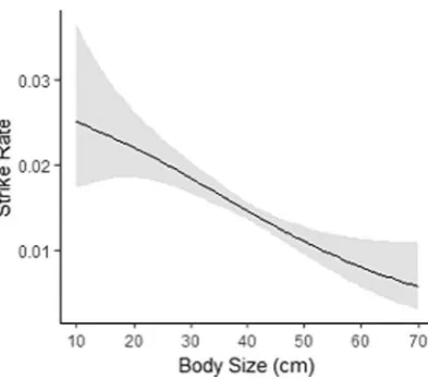 Figure 2. The modelled values of a Generalised Additive Model with a smoothing function demonstrating the negative relationship between strike rate and body size of P
