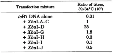 TABLE 1. Tests for complementation between tsB7 and ts502aComplementation