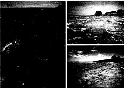 Figure 1.5. (a) Horizontal metamorphic argillite platform at Mont Louis, Quebec; (b) Sloping red sandstone at Bumtcoat Head in the Minas Basin; and (c) Sloping basaltic platform at Scots Bay in the Bay of Fundy.