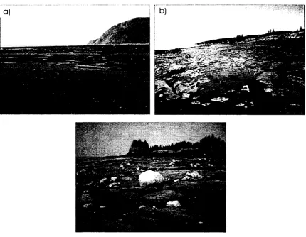Figure 2.2. The three shore platforms.