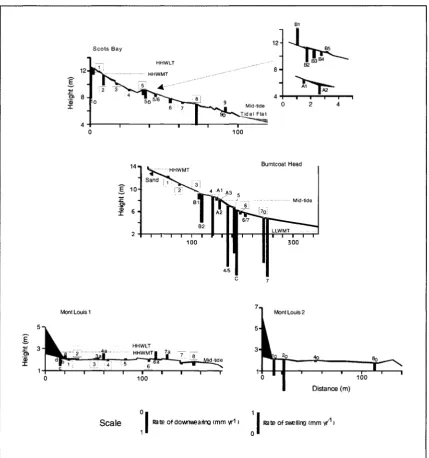 Figure 2.3. Surveyed platform profiles and TMEM downwearing data. Note that there are different vertical and horizontal scales
