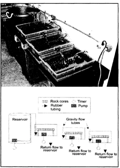 Figure 2.5. A tidal simulator. Four simulators were used to measure rates of downwearing generated by wetting and drying and salt weathering.