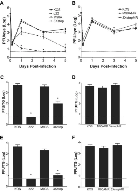 FIG 2 Acute replication of M90A and 3dent’s�stop mutants and MR viruses in vivo.(A and B) Acute ocular replication of M90A and 3�stop mutants and MRviruses in mice