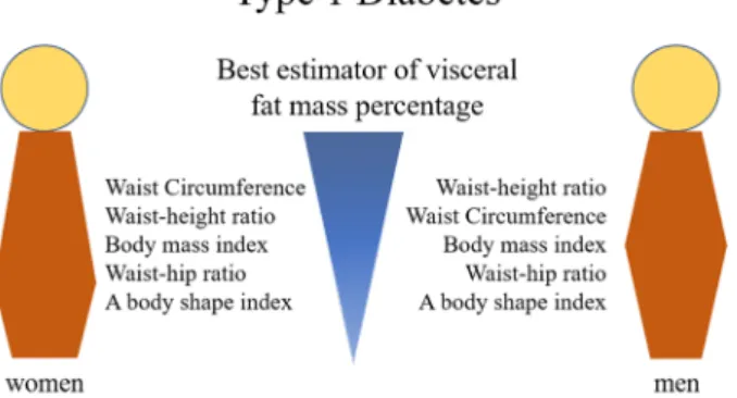 Figure 1.  Associations between visceral fat and anthropometric measures in adults with type 1 diabetes  according to sex.