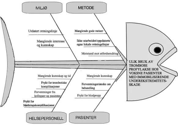 FIGUR 1. Skjematisk fremstilling av årsaker for ulik bruk av tromboseprofylakse hos voksne  pasienter med immobiliserende underekstremitetsskade i et fiskebeinsdiagram