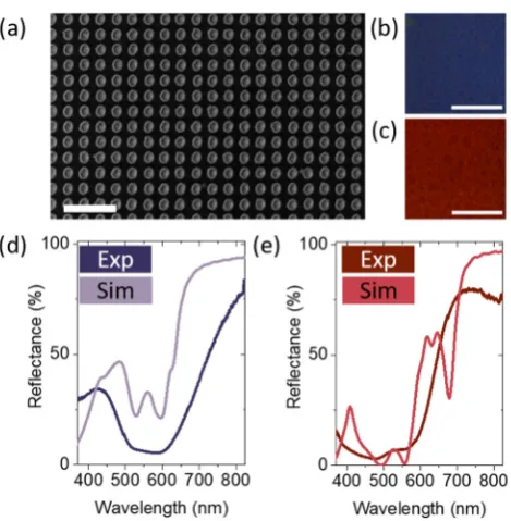 Figure 5. Figure 5. Experimental realisation: (a) SEM image of a representative nanodisc array (with 175 nm diameter discs and 300 nm pitch)