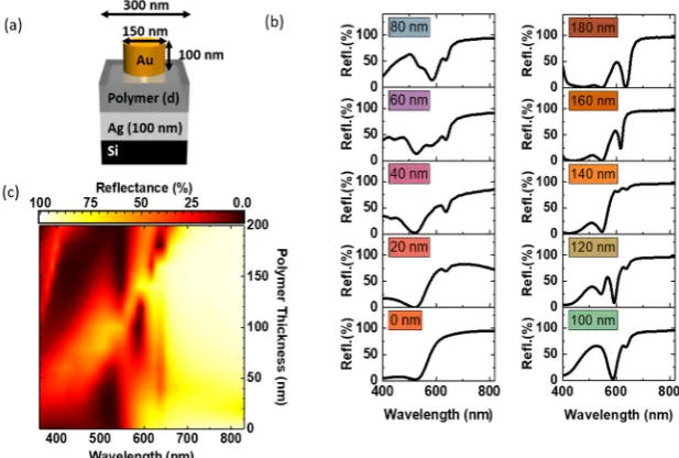 Figure 1.Figure 1. (a) Schematic of the hybrid nanostructure unit cell: Square arrays (300 nm pitch) of gold nanodiscs (100 nm high and 150 nm in diameter) on a back-reflector substrate consisting of a polymer thin film on top of a 100 nm thick silver (Ag)
