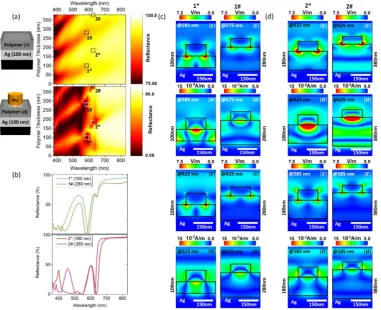 Figure 2. (aaFigure 2. () Comparison of the reflectance of the back-reflector alone with the reflectance from the ) Comparison of the reﬂectance of the back-reﬂector alone with the reﬂectance from the