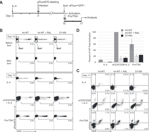 FIG 5 Durable latency is established by unintegrated HIV-1 in resting CD4GFP-negative (GFPmaintained in culture for 15 days