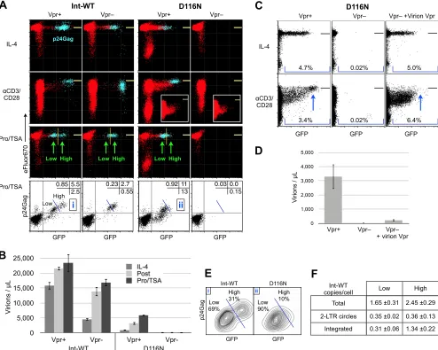 FIG 7 Vpr is required for gene expression and(D) Virus production from activated cells whose results are presented in panel C