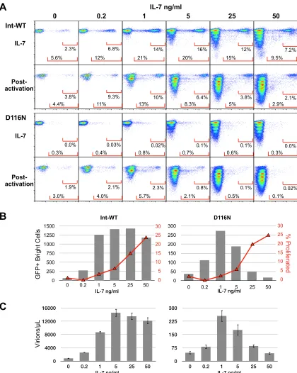 FIG 4 T cell homeostatic proliferation is antagonistic to the generation of virus-producing cells infected with Int-D116N HIV-1