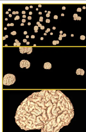 FIGURE 3 | Schematic of the heterogeneous cluster discovery process.