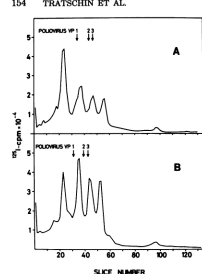 TABLE 1.polypeptides Apparent molecular weight ofHAV in 10 and 12.5% polyacrylamide gels