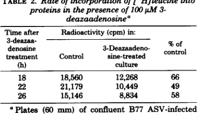 TABLE 1. Inhibition ofradioactive B77 virion production in the presence of 100 M 3-deazaadenosinea