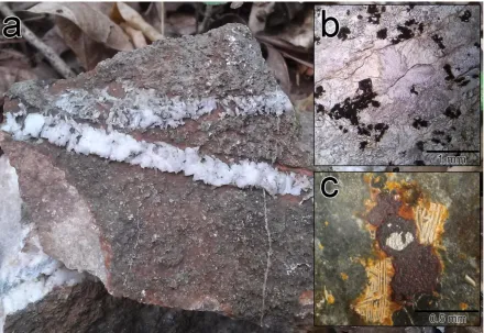 Figure 6: RGM metagabbro.  Hand sample approximately 15 cm across in (a), featuring two quartz veins
