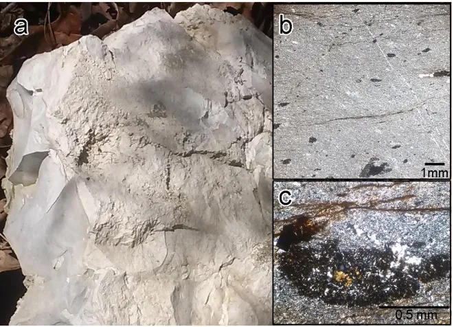 Figure 8: (a), massive argillite shows a subconchoidal fracture, indistinct cleavage and a lack of bedding features