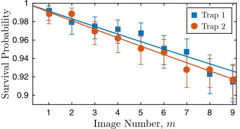 FIG. 4. Single atom retention for multiple 40 ms measurements at �3C sep-arated by 60 ms