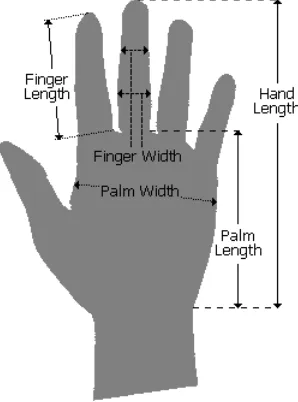 Figure 2: Hand Geometry Features 
