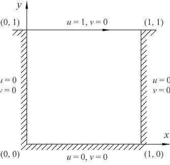 Figure 8: Lid driven cavity: problem conﬁgurations and boundary conditions.