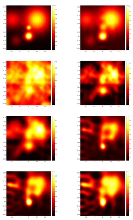 Fig. 2. At the top row the high-variation target imageTikhonov solution, and the nonnegative Tikhonov solution,yields negative concentration values, the constrained solu- χ∗h ina 60 × 60 square pixel grid and its projection Πχ∗h showingsome approximation e