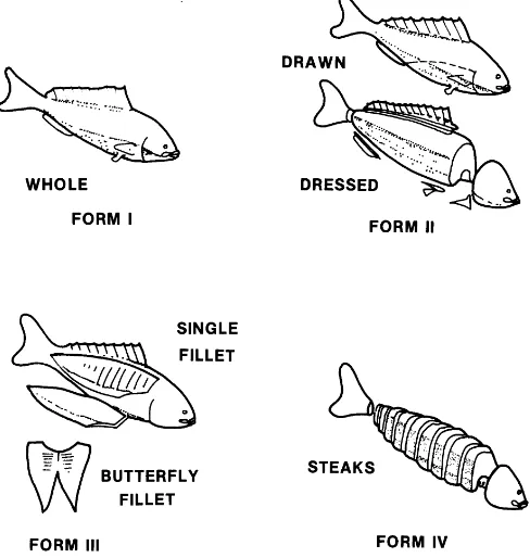 Figure 1-4.  Market Forms of Fish.