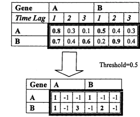 Figure 3.3: Mutual information matrix for a 2-node 3rd-order Markov DBN.