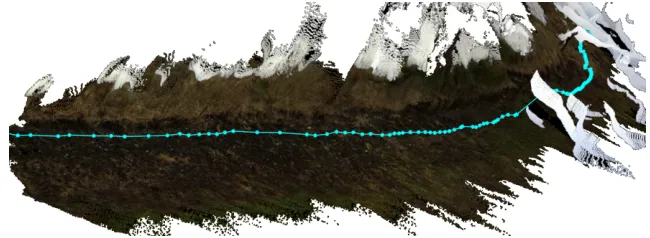 Fig. 7. High-quality 3-D reconstruction of a farm ﬁeld with fenced border from RTAB-Map