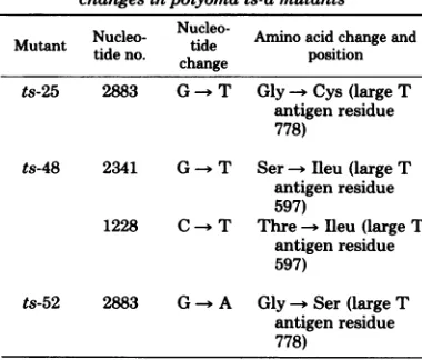 TABLE 1. Nucleotide and amino acid sequencechanges in polyoma ts-a mutants