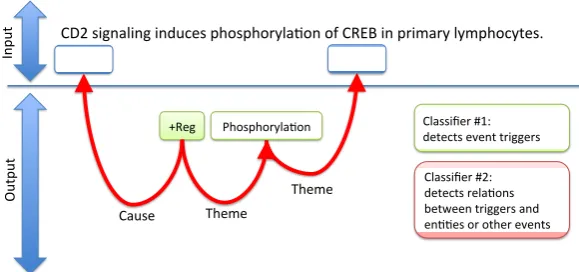 Figure 1: Architecture of the statistical model for the BioNLP core event extraction task.