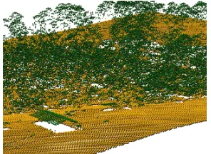 Figure 5: Point cloud obtained using airborne lidar in a small