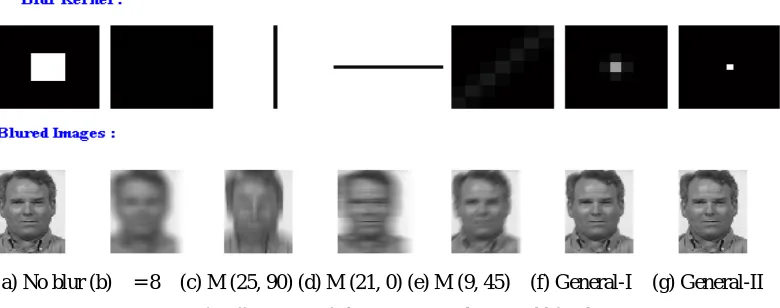 Figure 4: Different types of Blur images (Convolution Model for Blur). 