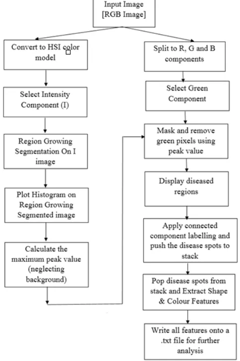Fig 2: Flow chart of the proposed method 