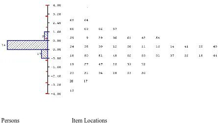 Figure 2.  Item Map showing the person/item distribution with the items identified  