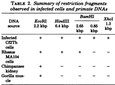 TABLE 2.observed Summary of restriction fragments in infected cells andprinate DNAs