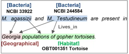 Figure 1 displays an example of entities and events